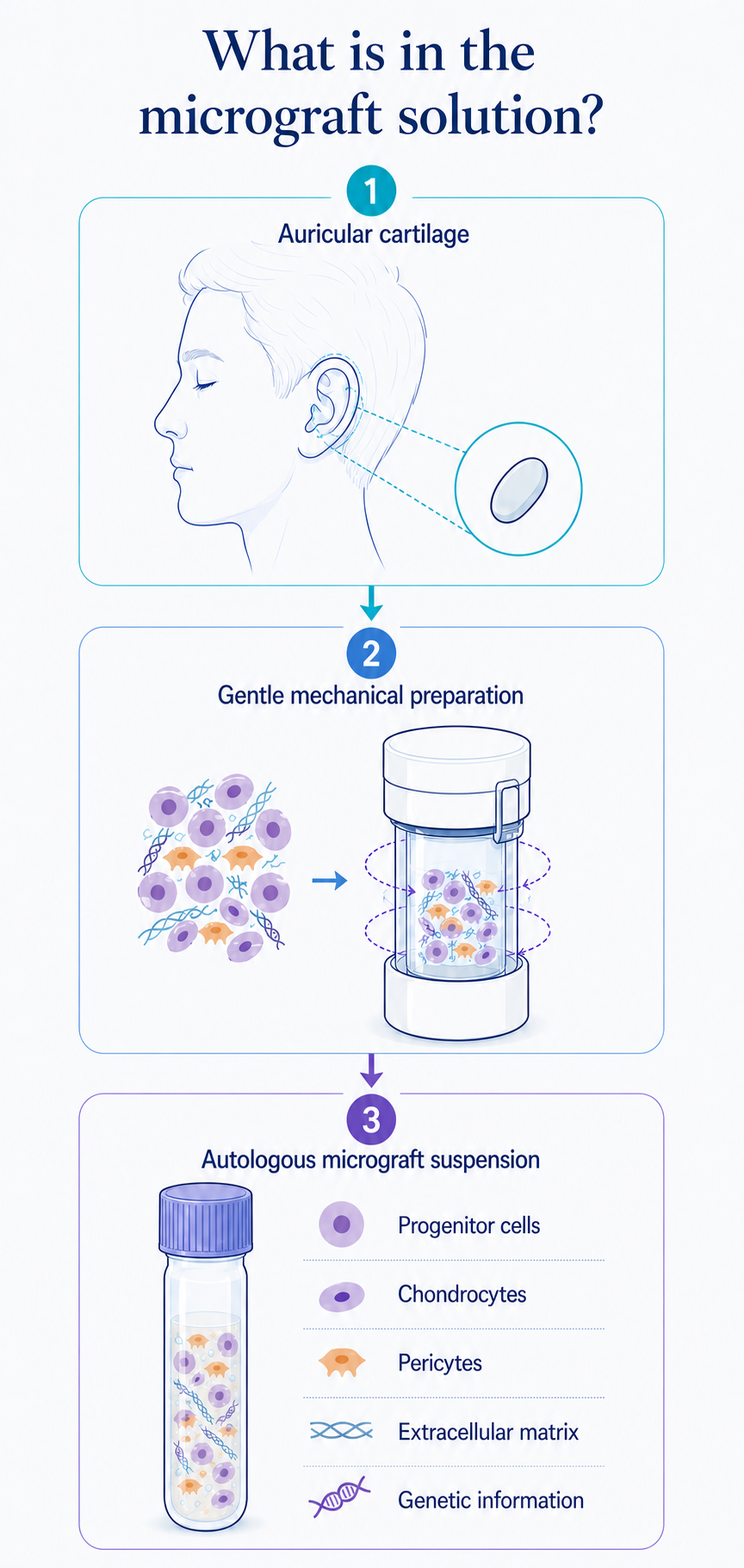 Diagram showing auricular cartilage being mechanically prepared into an autologous micrograft suspension containing progenitor cells, chondrocytes, pericytes, extracellular matrix and genetic information.